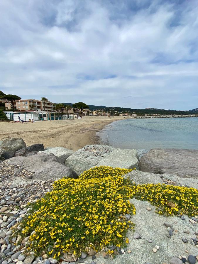Studio 150 m de plage Golfe de Saint-Tropez Cavalaire-sur-Mer Extérieur photo